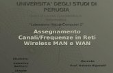 Assegnamento Canali/Frequenze in Reti Wireless MAN e WAN