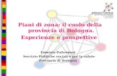 Piani di zona: il ruolo della provincia di Bologna. Esperienze e prospettive Fabrizia Paltrinieri