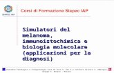 Simulatori del melanoma, immunoistochimica e biologia molecolare (applicazioni per la diagnosi)