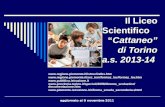 Il Liceo Scientifico             “ Cattaneo” di Torino a.s.  2013-14