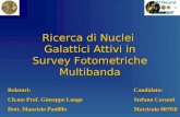 Ricerca di Nuclei  Galattici Attivi in Survey Fotometriche Multibanda