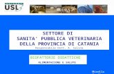 SETTORE DI  SANITA’ PUBBLICA VETERINARIA DELLA PROVINCIA DI CATANIA Responsabile Dott. A. Salina