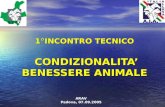 1°INCONTRO TECNICO  CONDIZIONALITA’ BENESSERE ANIMALE