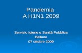 Pandemia  A H1N1 2009
