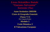 Liceo Scientifico Statale  “Gaetano Salvemini”   Sorrento (Na)