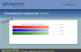 Presentazione opportunità  Tunisia