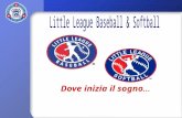 Little League Baseball & Softball