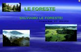LE FORESTE