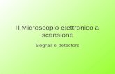Il Microscopio elettronico a scansione