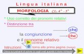 MORFOLOGIA   CL. 4^ - 5^