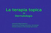 La terapia topica  in  Dermatologia