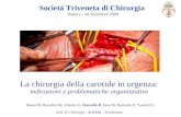 La chirurgia della carotide in urgenza: indicazioni e problematiche organizzative