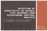 Detection of directivity in seismic site response from  microtremor  spectral analysis
