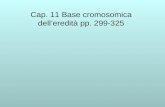 Cap. 11 Base cromosomica dell’eredità pp. 299-325