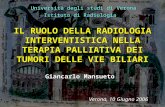 Università degli studi di Verona  Istituto di Radiologia