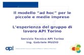 Il modello “ad hoc” per le piccole e medie imprese L’esperienza del gruppo di lavoro API Torino