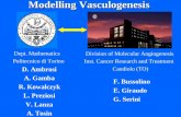 Modelling Vasculogenesis