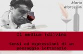 Il medium (di)vino Sensi ed espressioni di un paesaggio letterario