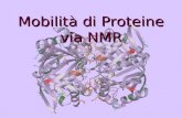 Mobilità di Proteine via NMR
