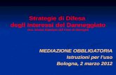 Strategie di Difesa  degli Interessi del Danneggiato Avv. Marco Bordoni del Foro di Bologna