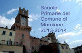 Scuole Primarie del Comune di Marciano 2013-2014