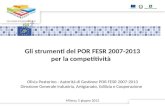 Gli strumenti del POR FESR 2007-2013 per la competitività