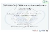 SBAS-DInSAR GRID processing on-demand: a case study