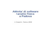 Attivita’ di software +analisi fisica  a Padova