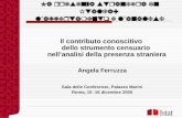 La presenza straniera in Italia:  l’accertamento e l’analisi