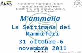 M'ammalia  La Settimana dei Mammiferi 31 ottobre-6 novembre 2011