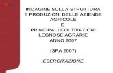 Questionario di rilevazione   ISTAT/SPA 2007