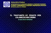 Università di Padova DIPARTIMENTO DI CHIRURGIA GENERALE E TRAPIANTI D’ORGANO