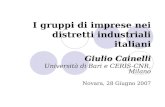 I gruppi di imprese nei distretti industriali italiani