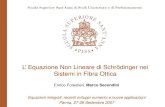 L' Equazione Non Lineare di Schrödinger nei Sistemi in Fibra Ottica