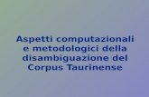 Aspetti computazionali e metodologici della disambiguazione del Corpus Taurinense
