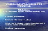 L’ENERGIA NUCLEARE : EVOLUZIONE E PROSPETTIVE M.Salvatores