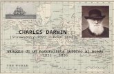 CHARLES DARWIN (Shrewsbury 1809 – Down 1882)