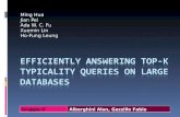 Efficiently answering  top-k  typicality queries  on  large databases
