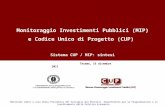 Monitoraggio Investimenti Pubblici (MIP) e Codice Unico di Progetto (CUP)