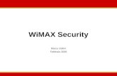 WiMAX Security