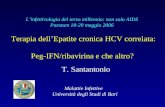 Terapia dell’Epatite cronica HCV correlata:  Peg-IFN/ribavirina e che altro?