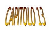 CAPITOLO 13