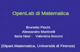 OpenLab di Matematica