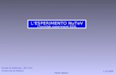 L’ESPERIMENTO  NuTeV (Fermilab experiment 815)