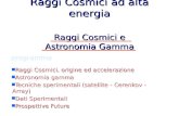 Raggi Cosmici e  Astronomia Gamma