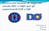 Ricerca del bosone di Higgs nel canale WH → b b l   per gli esperimenti CDF e DØ