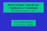 Biotecnologie vegetali per l’industria e l’ambiente Biochimica classica - atto I
