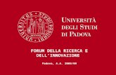 FORUM DELLA RICERCA E DELL’INNOVAZIONE  Padova, A.A. 2008/09