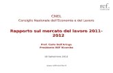 CNEL Consiglio Nazionale dell’Economia e del Lavoro Rapporto sul mercato del lavoro 2011-2012