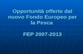 Opportunità offerte dal nuovo Fondo Europeo per la Pesca FEP 2007-2013